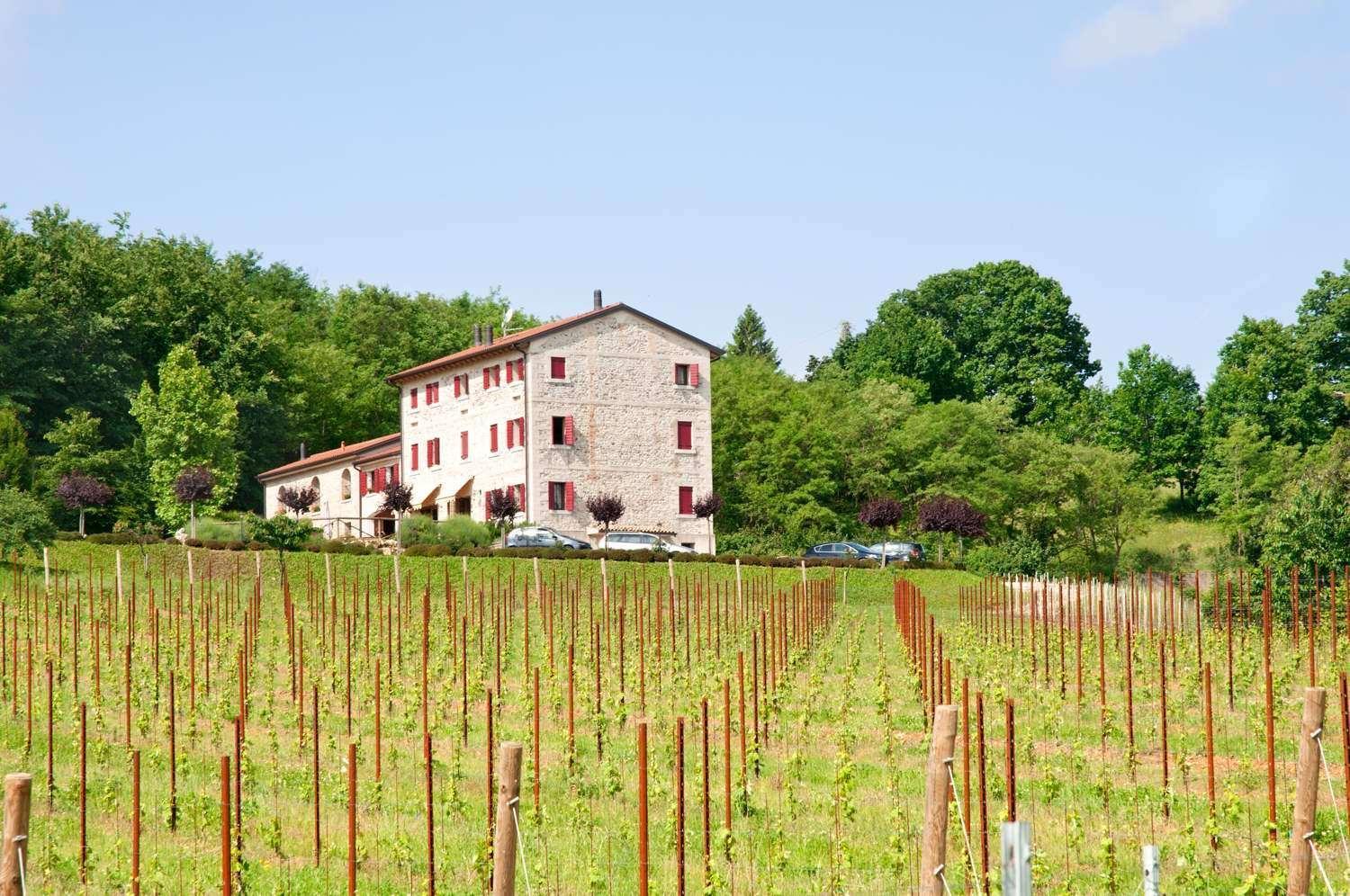 Agriturismo Prime Gemme Nervesa della Battaglia Exterior foto